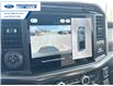 2025 Ford F-150 Platinum (Stk: SFA31859) in Wallaceburg - Image 17 of 26