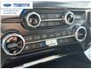 2025 Ford F-150 Platinum (Stk: SFA31859) in Wallaceburg - Image 19 of 26