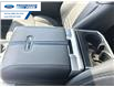 2025 Ford F-150 Platinum (Stk: SFA31859) in Wallaceburg - Image 21 of 26