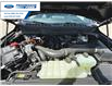 2025 Ford F-150 Platinum (Stk: SFA31859) in Wallaceburg - Image 26 of 26