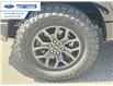 2025 Ford F-150 Tremor (Stk: SFA69262) in Wallaceburg - Image 10 of 26