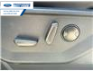 2025 Ford F-150 Tremor (Stk: SFA69262) in Wallaceburg - Image 12 of 26