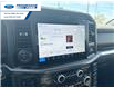 2025 Ford F-150 Tremor (Stk: SFA69262) in Wallaceburg - Image 16 of 26