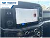 2025 Ford F-150 Tremor (Stk: SFA69262) in Wallaceburg - Image 18 of 26