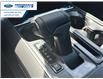 2025 Ford F-150 Tremor (Stk: SFA69262) in Wallaceburg - Image 20 of 26