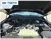 2025 Ford F-150 Tremor (Stk: SFA69262) in Wallaceburg - Image 26 of 26