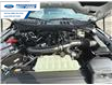 2025 Ford F-150 Lariat (Stk: SKE04716) in Wallaceburg - Image 25 of 25