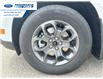 2025 Ford Maverick XLT (Stk: SRA77136) in Wallaceburg - Image 10 of 23