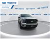 2025 Ford F-150 Lariat (Stk: SKE04716) in Wallaceburg - Image 3 of 25