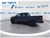2025 Ford F-150 Platinum (Stk: SFA31859) in Wallaceburg - Image 6 of 26