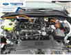2025 Ford Escape ST-Line (Stk: SUA92104) in Wallaceburg - Image 26 of 26