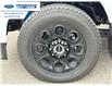 2025 Ford F-250 XLT (Stk: SED12049) in Wallaceburg - Image 10 of 25