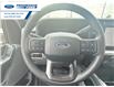 2025 Ford F-250 XLT (Stk: SED12049) in Wallaceburg - Image 14 of 25