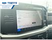 2025 Ford F-250 XLT (Stk: SED12049) in Wallaceburg - Image 16 of 25