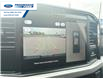 2025 Ford F-250 XLT (Stk: SED12049) in Wallaceburg - Image 17 of 25