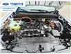 2025 Ford Maverick XLT (Stk: SRA56125) in Wallaceburg - Image 24 of 24