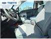 2022 Ford Maverick XLT (Stk: NRA32256T) in Wallaceburg - Image 11 of 24