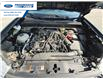 2022 Ford Maverick XLT (Stk: NRA32256T) in Wallaceburg - Image 24 of 24