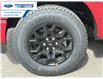 2025 Ford F-150 XLT (Stk: SFB02088) in Wallaceburg - Image 10 of 25