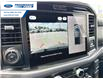 2025 Ford F-150 XLT (Stk: SFB02088) in Wallaceburg - Image 17 of 25