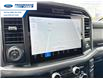 2025 Ford F-150 XLT (Stk: SFB02088) in Wallaceburg - Image 18 of 25