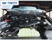 2025 Ford F-150 XLT (Stk: SFB02088) in Wallaceburg - Image 25 of 25