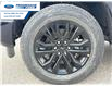2025 Ford F-150 XLT (Stk: SFB12314) in Wallaceburg - Image 10 of 25