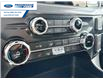 2025 Ford F-150 XLT (Stk: SFB12314) in Wallaceburg - Image 19 of 25