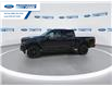 2025 Ford F-150 XLT (Stk: SFB12314) in Wallaceburg - Image 6 of 25