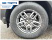 2025 Ford Bronco Sport Big Bend (Stk: SRE68400) in Wallaceburg - Image 10 of 24