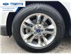 2018 Ford Edge SEL (Stk: JBB45838T) in Wallaceburg - Image 10 of 24