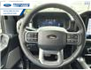 2025 Ford F-150 Lariat (Stk: SFB14396) in Wallaceburg - Image 14 of 25