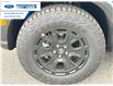 2025 Ford Bronco Sport Badlands (Stk: SRE78077) in Wallaceburg - Image 2 of 18