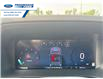 2025 Ford F-150 XLT (Stk: SKD79098) in Wallaceburg - Image 7 of 17