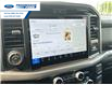 2025 Ford F-150 XLT (Stk: SKD79098) in Wallaceburg - Image 8 of 17