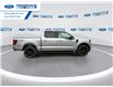 2025 Ford F-150 XLT (Stk: SFB30205) in Wallaceburg - Image 9 of 25