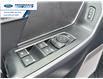 2025 Ford F-150 XLT (Stk: SFB30205) in Wallaceburg - Image 13 of 25