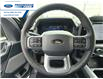 2025 Ford F-150 XLT (Stk: SFB30205) in Wallaceburg - Image 14 of 25