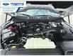2025 Ford F-150 XLT (Stk: SFB30205) in Wallaceburg - Image 25 of 25
