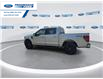 2025 Ford F-150 XLT (Stk: SFB24335) in Wallaceburg - Image 6 of 25