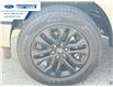 2025 Ford F-150 XLT (Stk: SFB24335) in Wallaceburg - Image 10 of 25