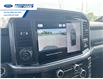 2025 Ford F-150 XLT (Stk: SFB24335) in Wallaceburg - Image 17 of 25