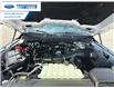 2025 Ford F-150 XLT (Stk: SFB24335) in Wallaceburg - Image 25 of 25