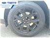 2025 Ford Maverick XLT (Stk: SRA87015) in Wallaceburg - Image 10 of 24