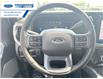 2025 Ford F-250 Lariat (Stk: SED84080T) in Wallaceburg - Image 14 of 25