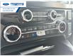 2025 Ford F-250 Lariat (Stk: SED84080T) in Wallaceburg - Image 19 of 25