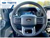 2025 Ford F-150 Lariat (Stk: SFC27823) in Wallaceburg - Image 14 of 25