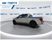 2025 Ford F-150 XLT (Stk: SFB52953) in Wallaceburg - Image 6 of 25