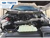 2025 Ford F-150 XLT (Stk: SFB52953) in Wallaceburg - Image 25 of 25