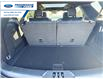 2026 Ford Explorer ST (Stk: TGA04252) in Wallaceburg - Image 25 of 27